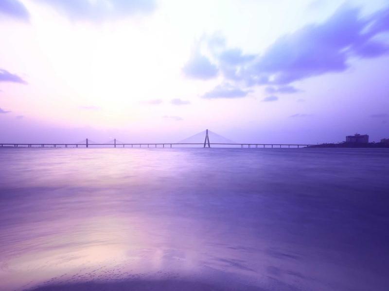 核爆后的彩虹<br>lyv4augd.cn 变异生物图鉴